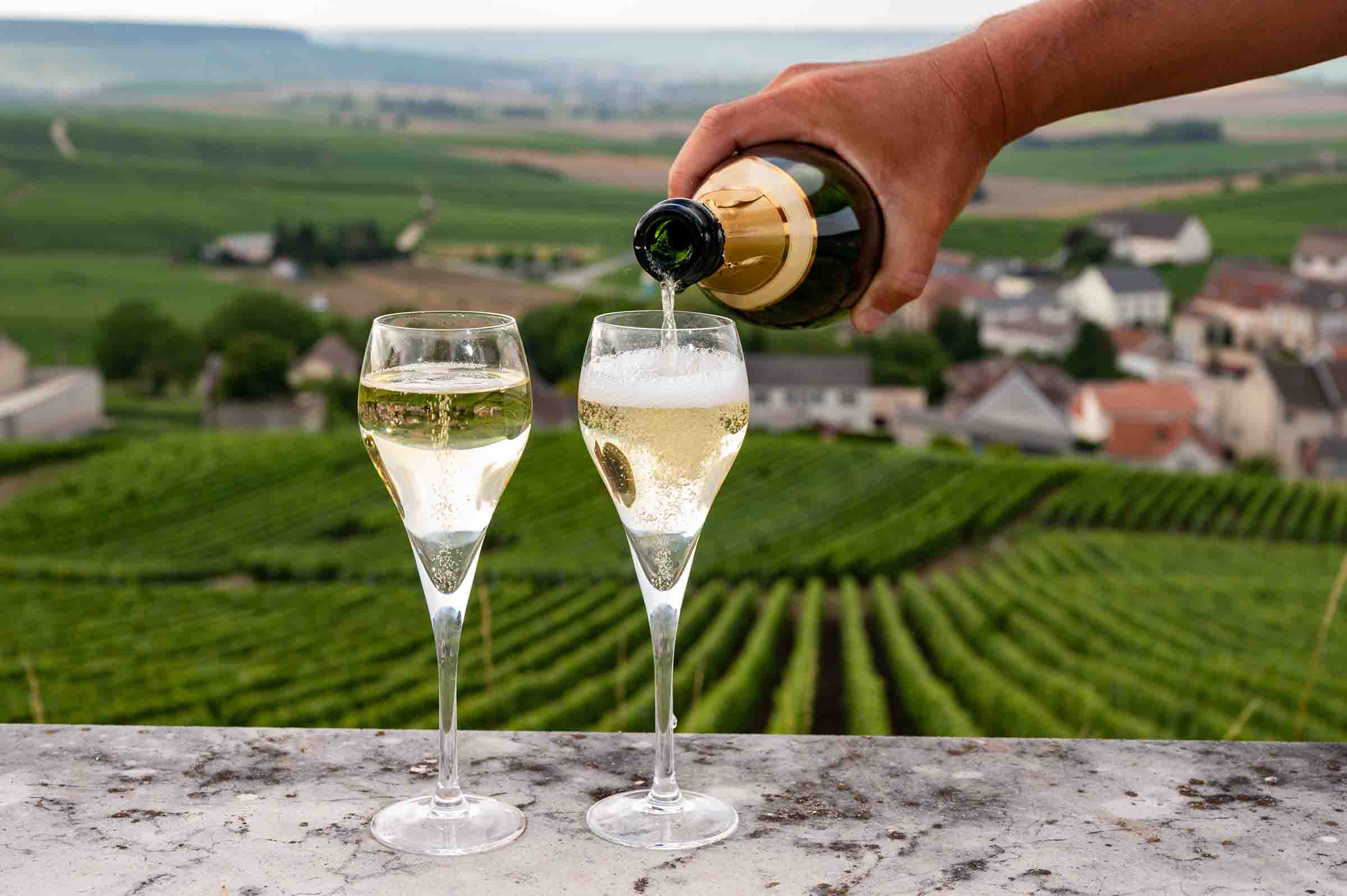 Pouring Sparkling WIne in the Vineyard